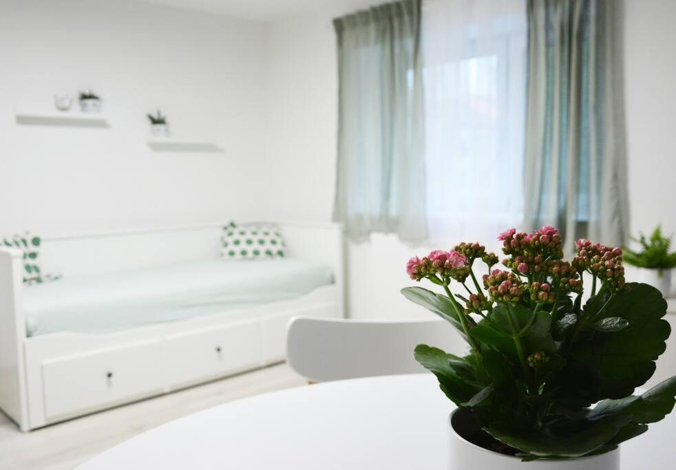 Apartman Kvetinovy Dum Hluk Exteriér fotografie